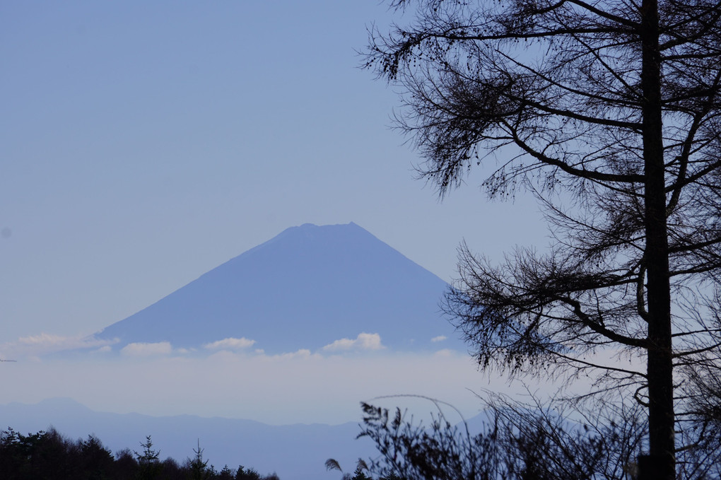 富士の見える場所