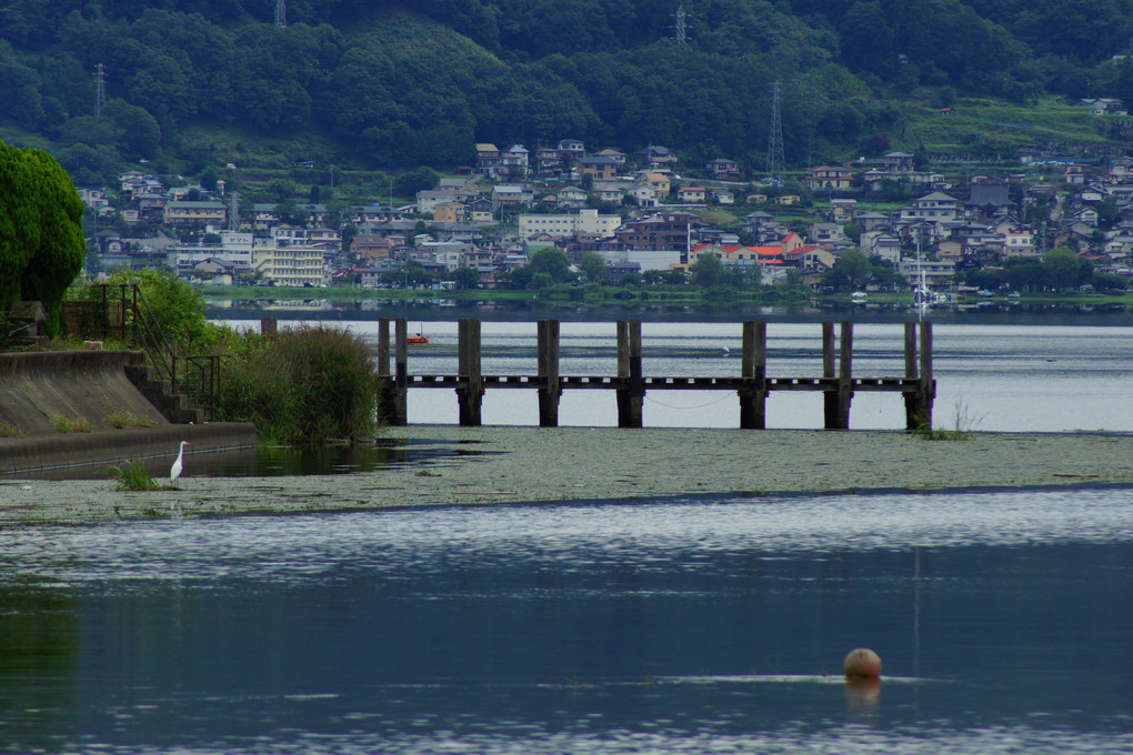 晴れ間の散歩で…