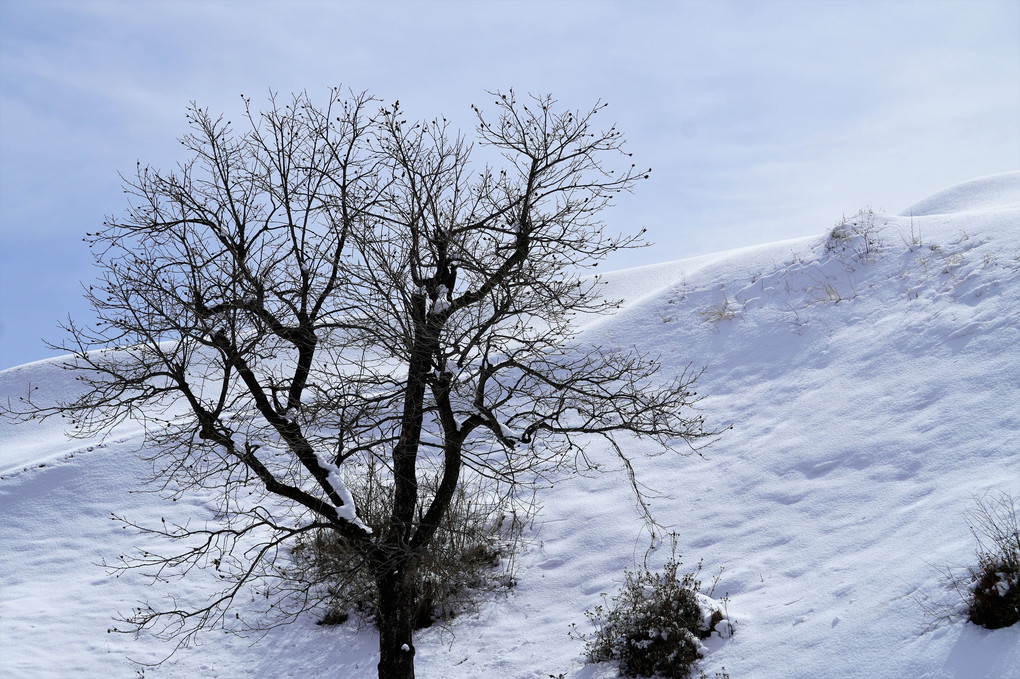 浅春の残雪…風景