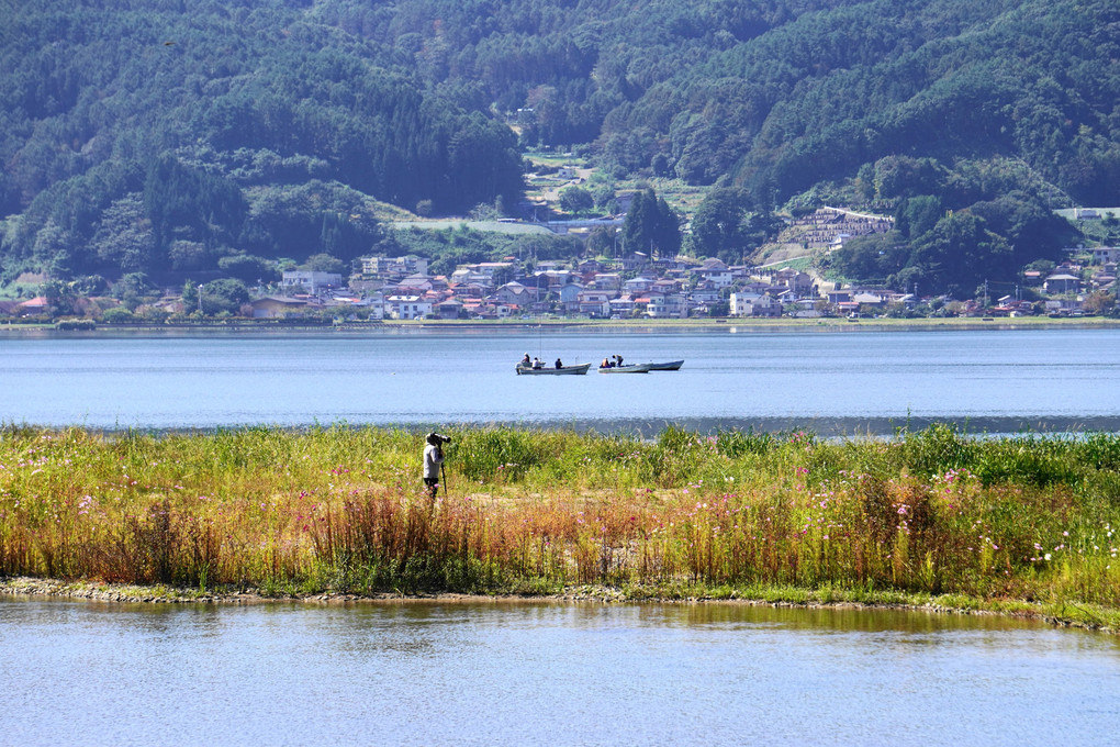 秋色湖面