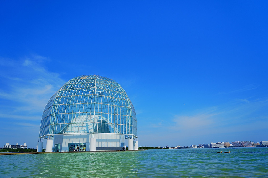 Tokyo Sea Life Park