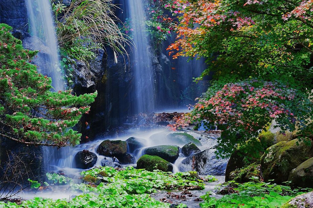 梅園の紅葉