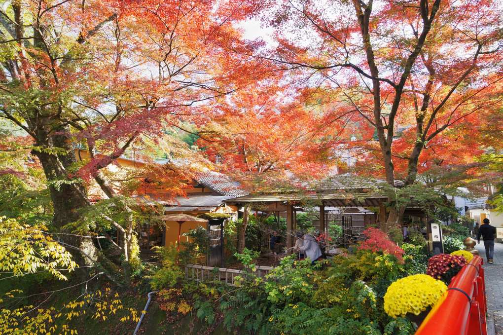 修善寺の紅葉