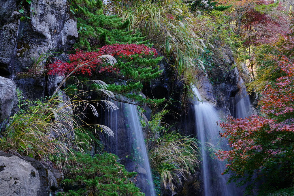 梅園の紅葉