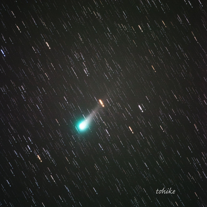 5月のジョンソン彗星(C/2015 V2)
