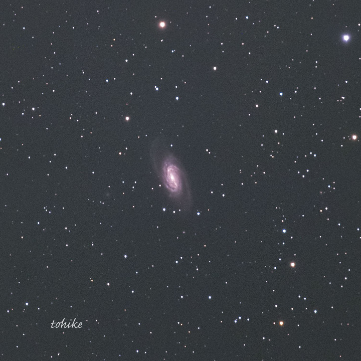 ☆…NGC2903～しし座