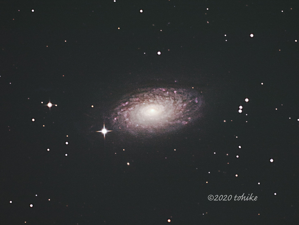 【再処理】M63～ひまわり銀河