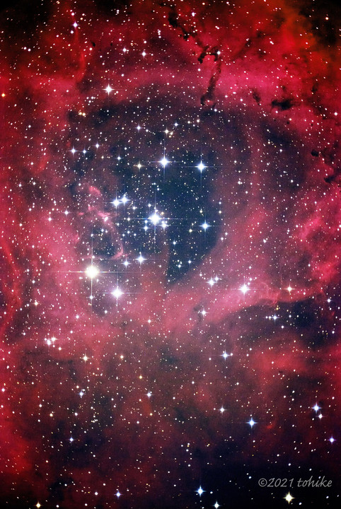 ☆…バラ星雲～NGC2237,NGC2244…☆