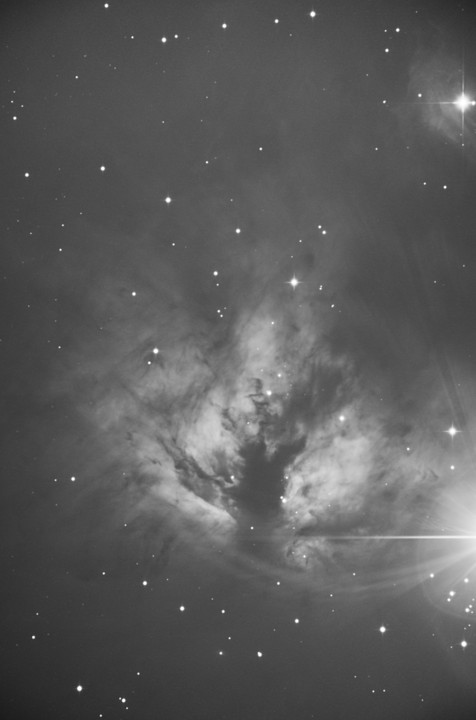 ☆1月のソラさんぽ６～燃える木 NGC2024