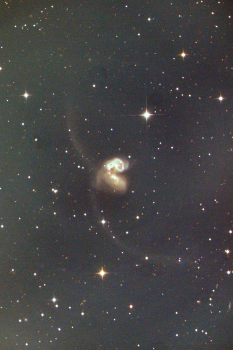 ☆5月のソラさんぽ７～アンテナ銀河 NGC4038