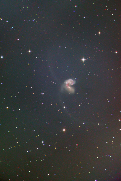 ☆2月のソラさんぽ３～アンテナ銀河 NGC4038,4039