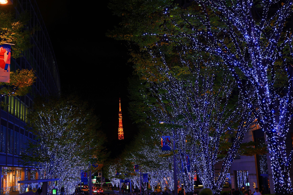 東京夜景散策