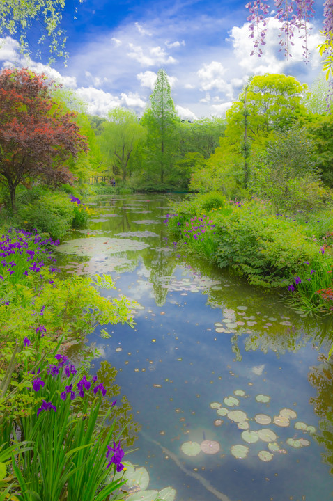 「モネの庭」マルモッタン水の庭