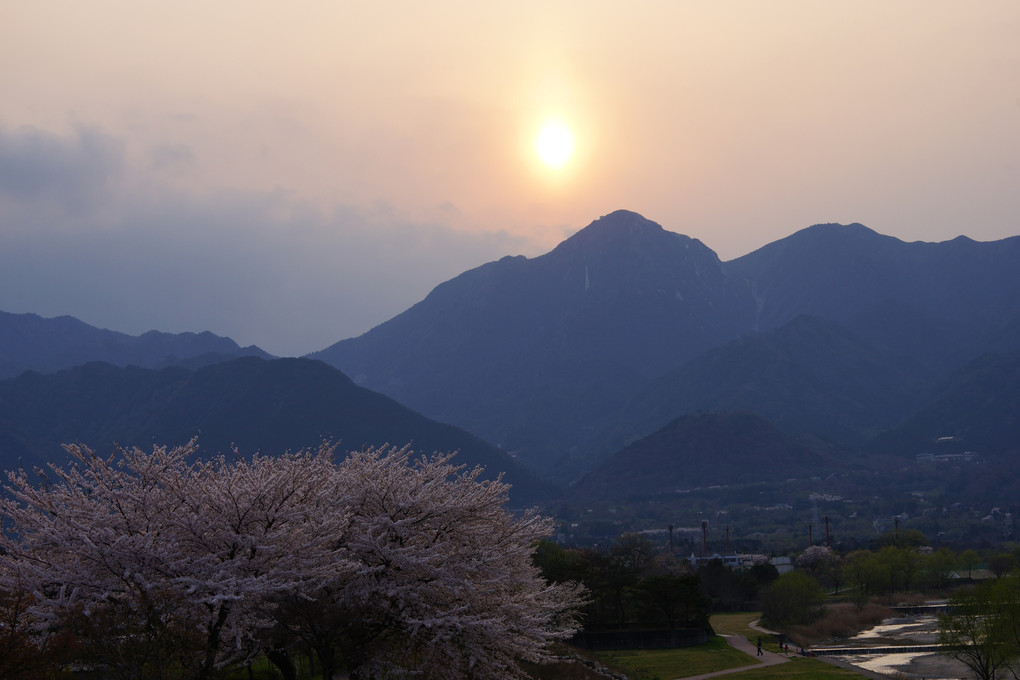 桜と御在所岳20140405