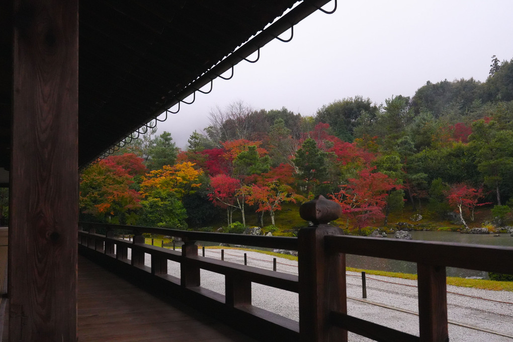 天龍寺（京都嵐山）