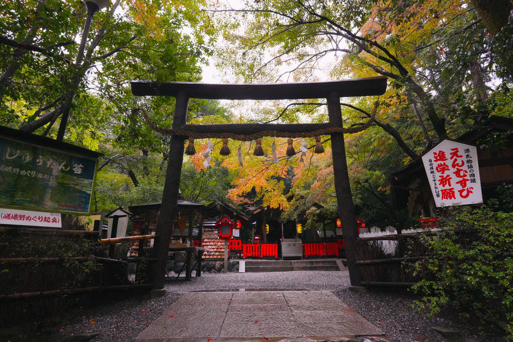 竹林の小道と野宮神社（京都 嵯峨野）