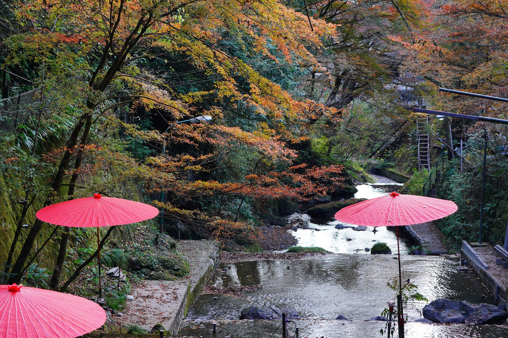 貴船神社