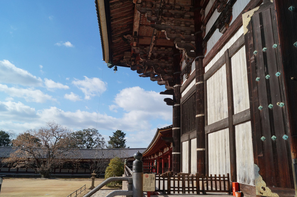 奈良公園を散策（東大寺編）