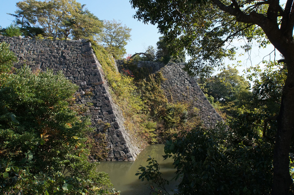 伊賀上野城を訪ねて