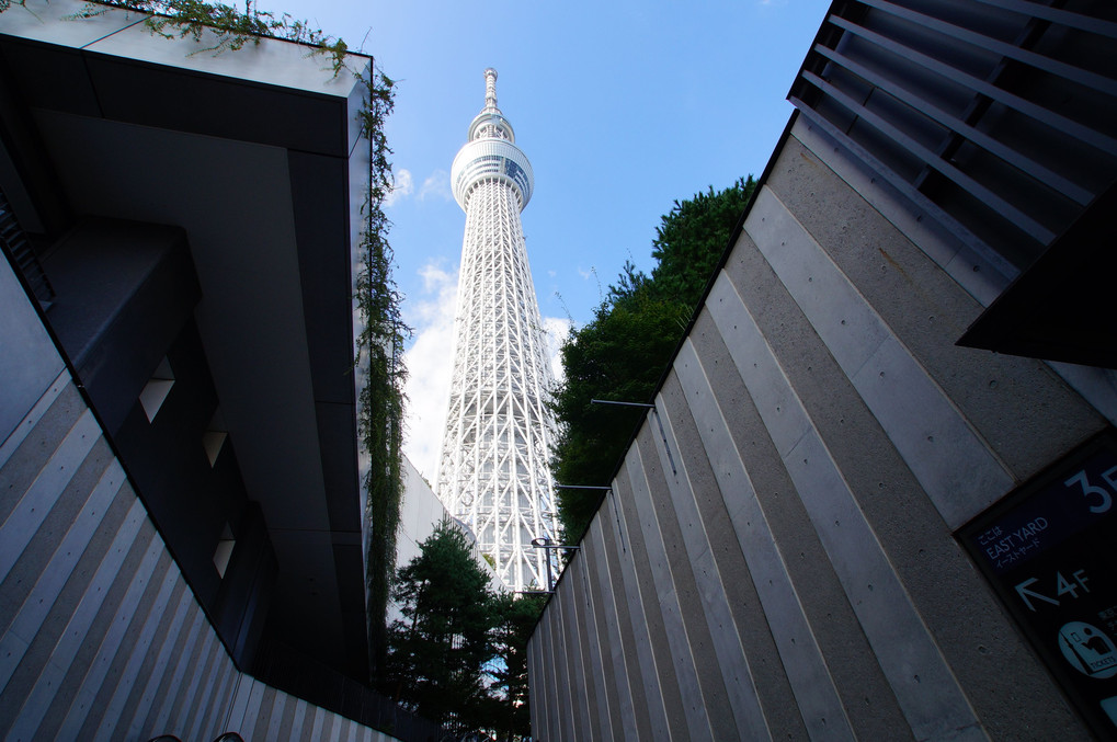 憧れの東京スカイツリー