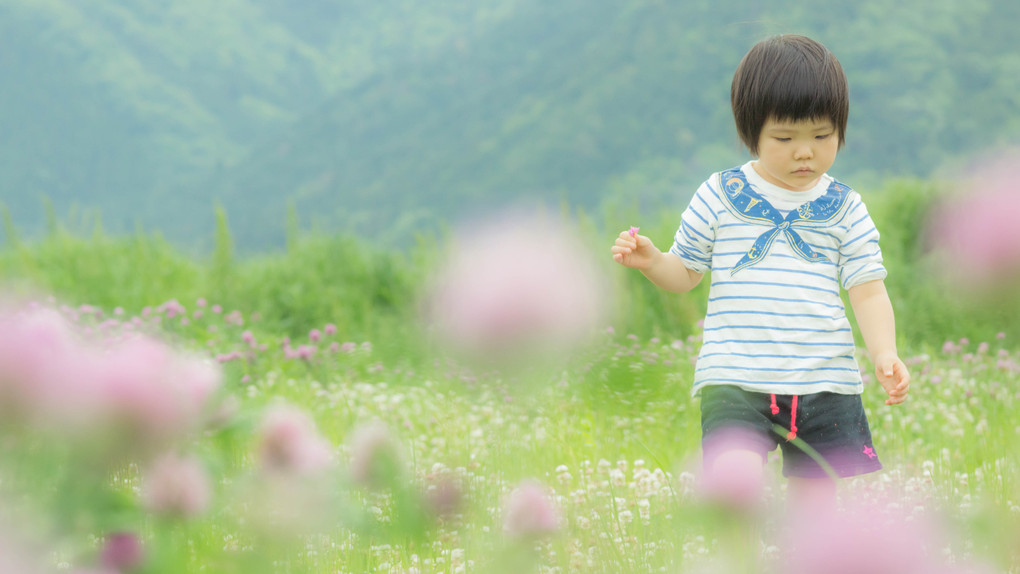 野原で花を摘みながら