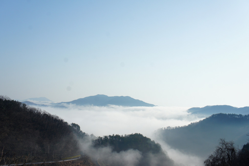 里山の雲海