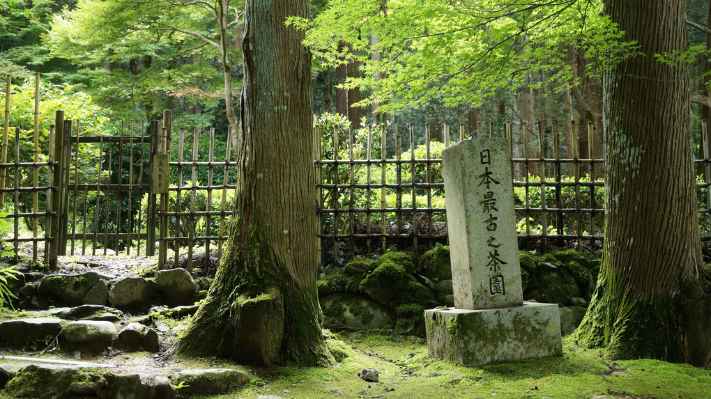 栂尾山高山寺