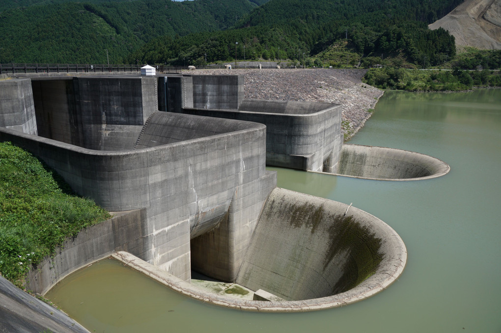 青土ダム（滋賀県甲賀；半円常用洪水吐）とニホンカモシカ