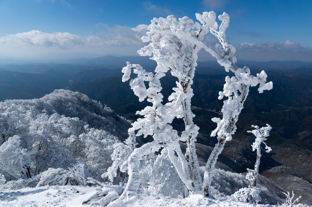 20190202樹氷＠高見山
