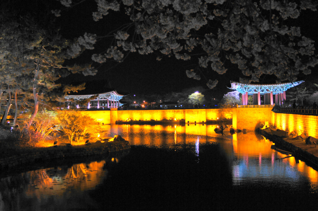 慶州のアナプチ池