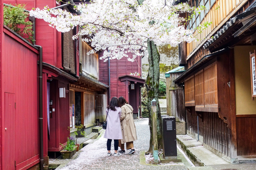 花散る頃