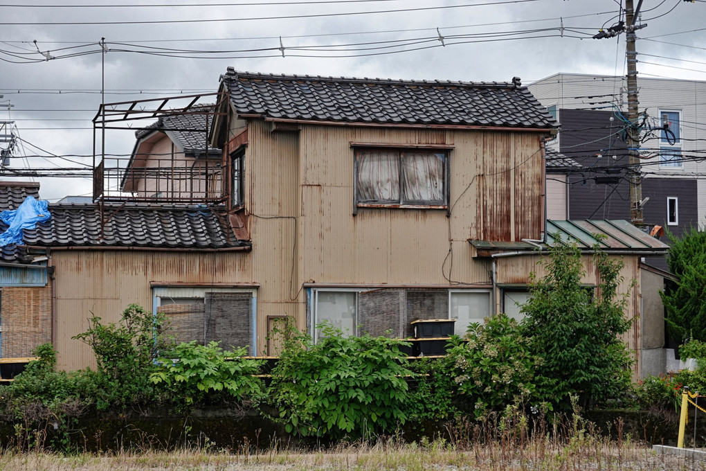 そして誰も振り向かなくなった