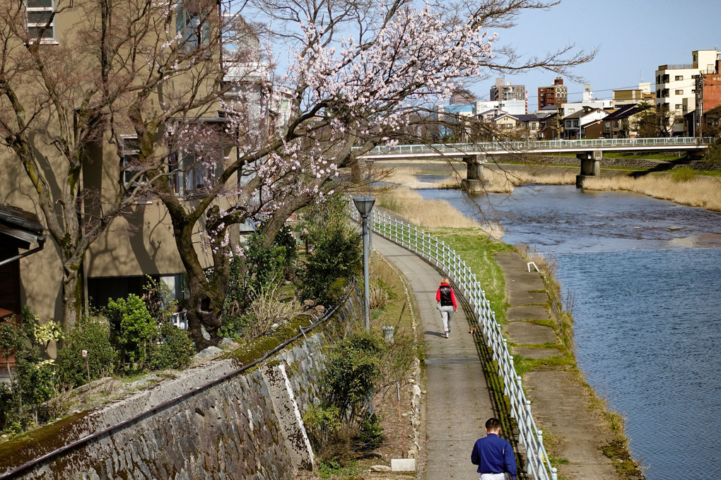 路の風景 117