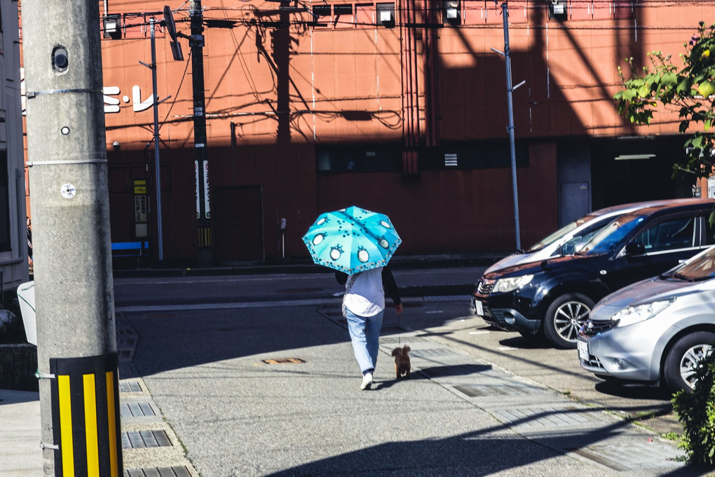 青い日傘