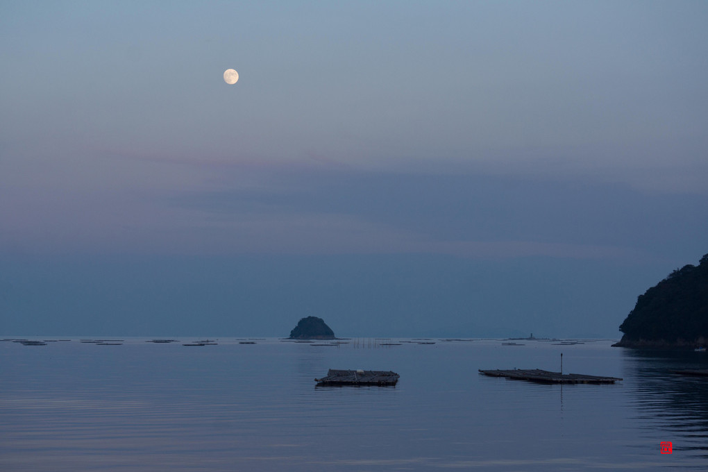 錦海湾に昇る月