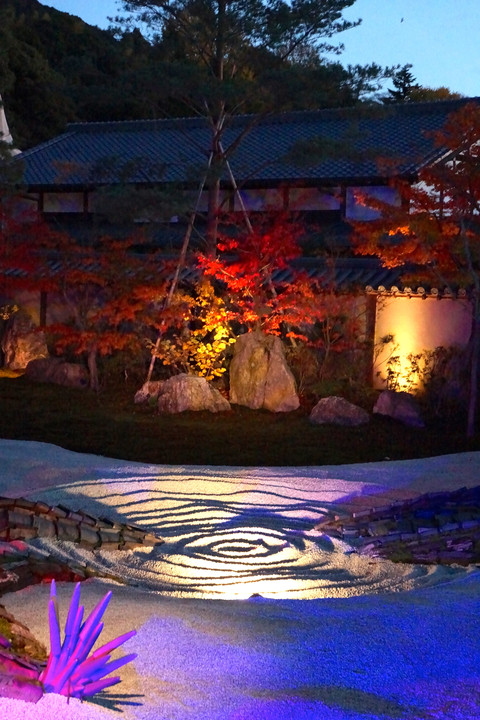 高台寺龍の庭のライトアップ