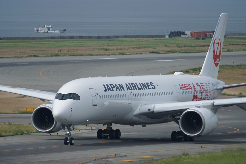 JAL A350