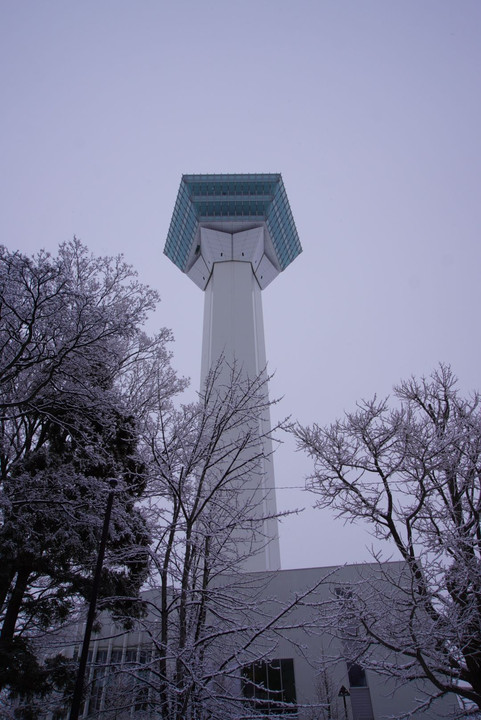 雪の華にたたずむ五稜郭タワー