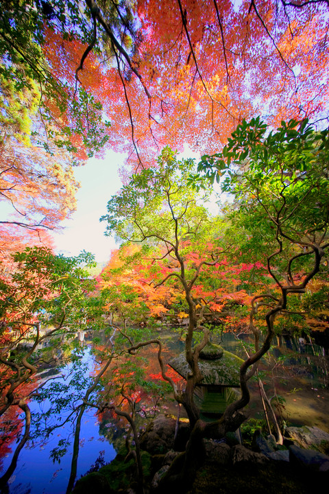 やっぱ京都の紅葉はきれかった