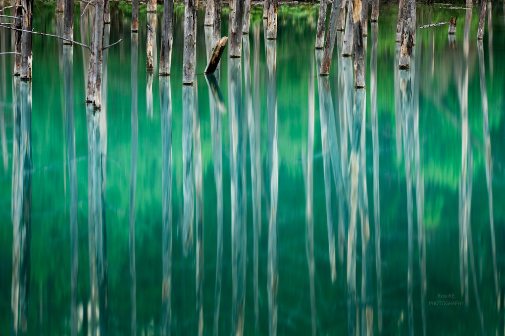 Green Pond Reflection(Under ver.)