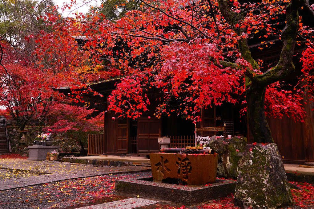 雨の定光寺！