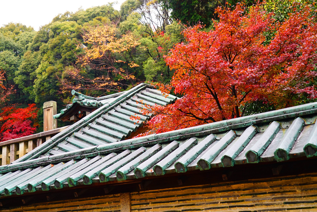 雨の定光寺！