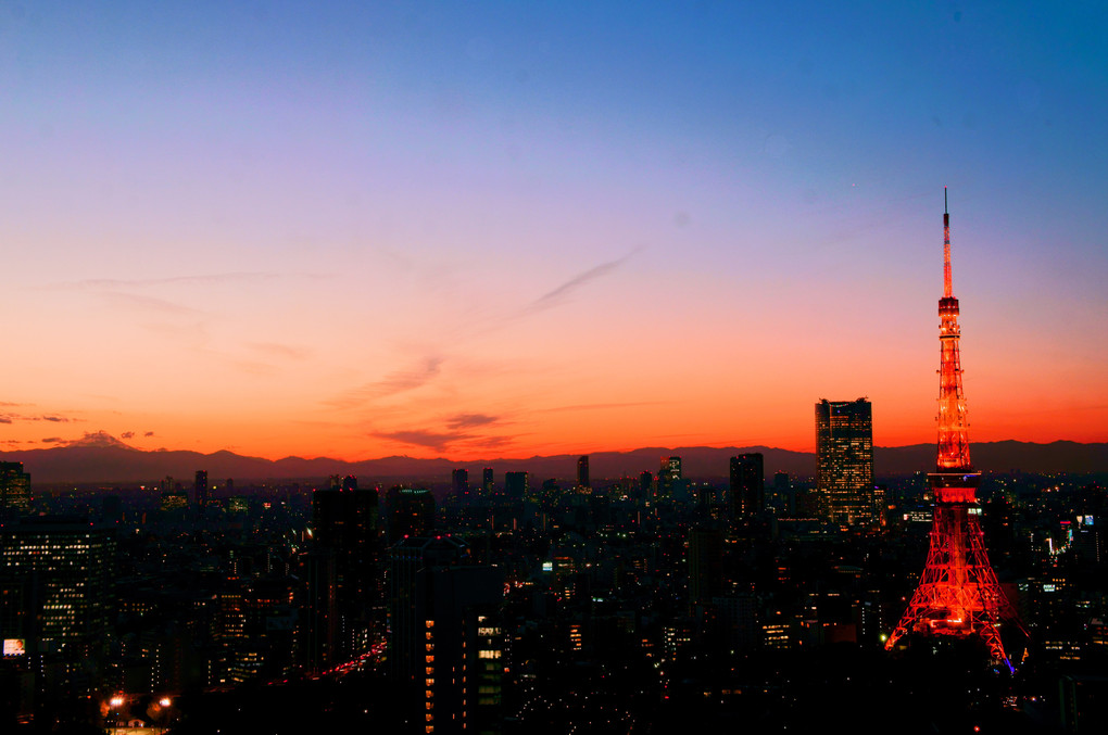 TOKYO TOWER IN MAGIC HOUR