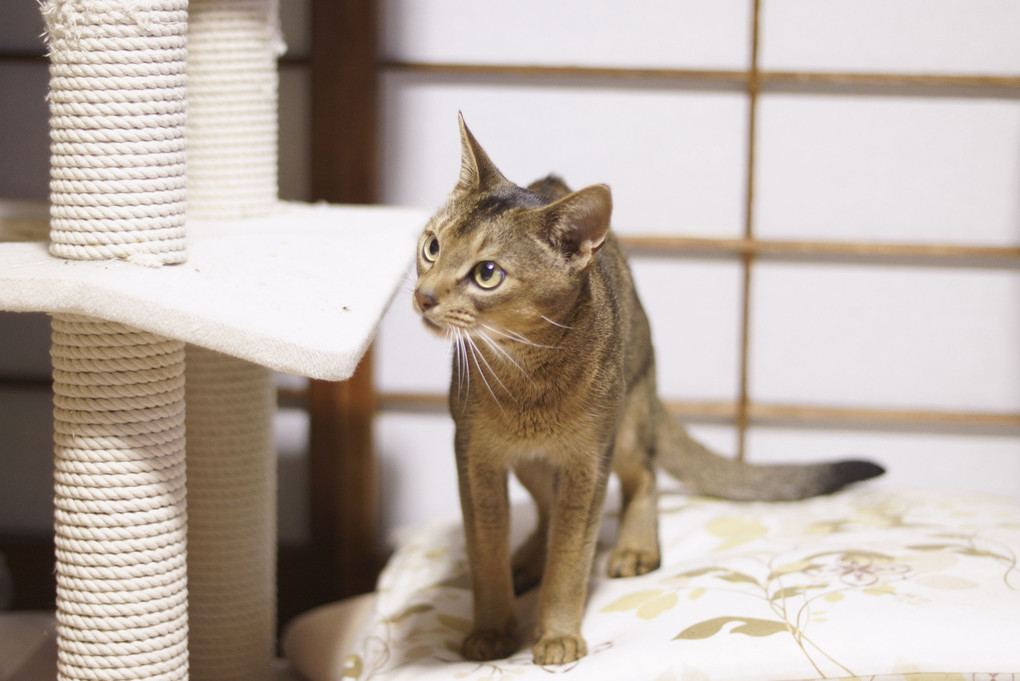 暖かい部屋で