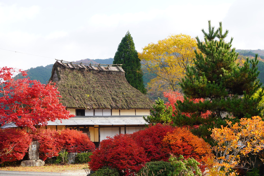 越畑ふるさと村