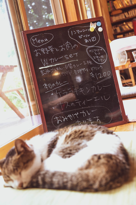 カフェ山猫軒のカレー