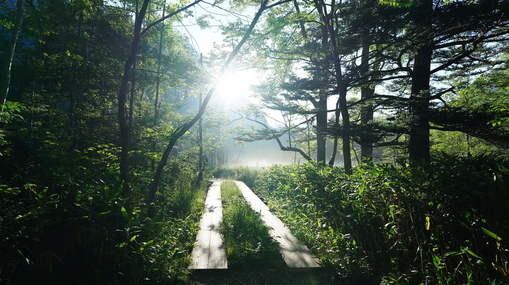 静粛の岳沢湿原