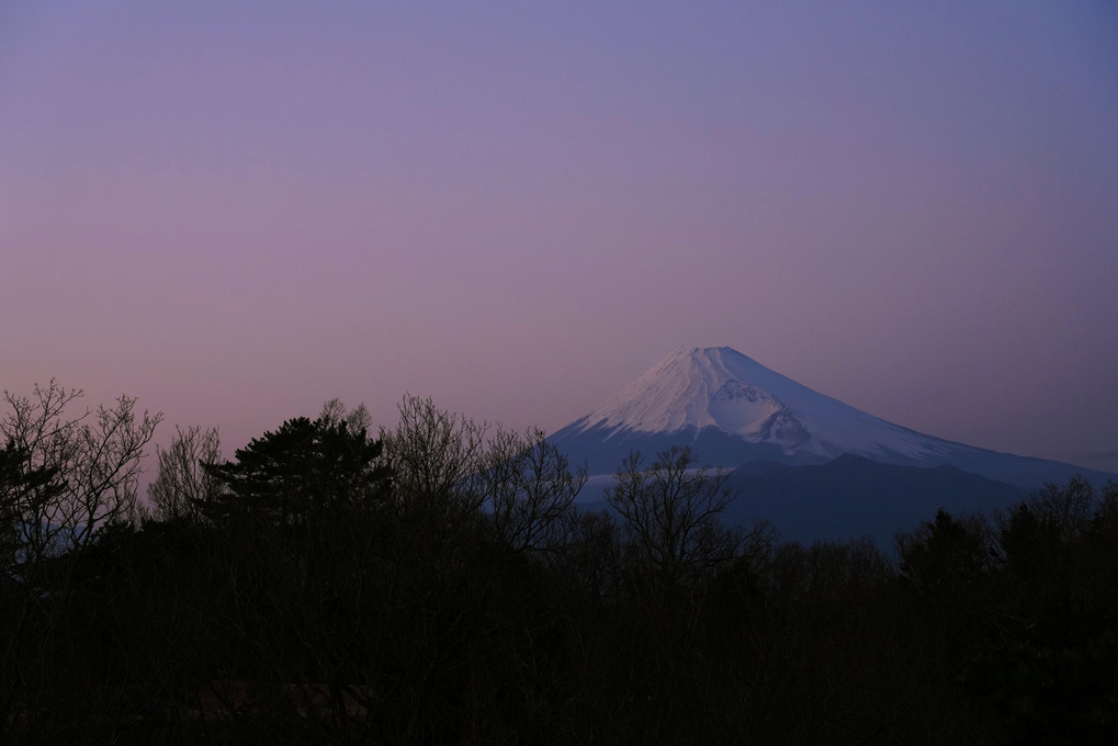 朝日を浴びる前の富士