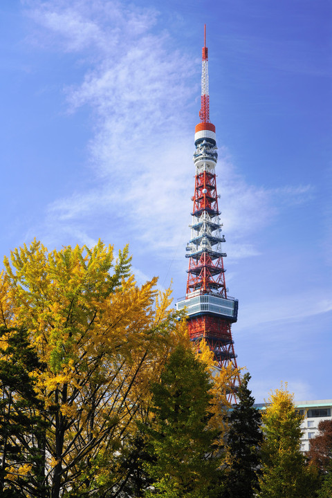 東京タワーに近付いてみた