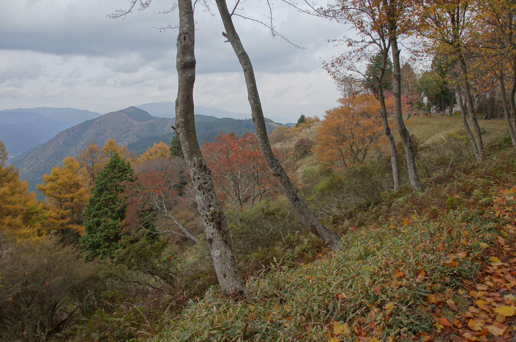 比叡山の秋